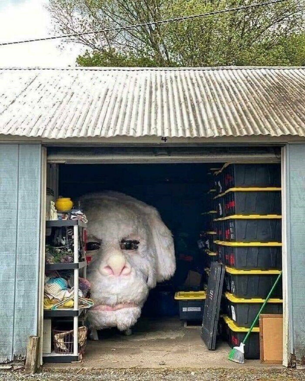 "Falcor In His Retirement Home"