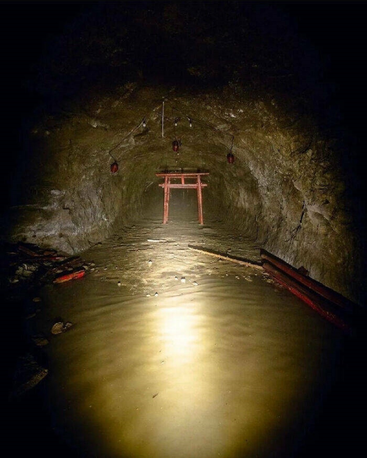 "Abandoned Tori Gate Found At The End Of A Submerged Tunnel In Japan"