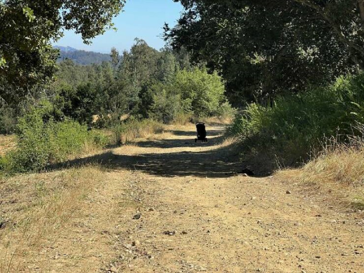 "Do Ominously-Placed Abandoned Baby Strollers On Hiking Trails Count As Oddly Terrifying? Certainly Spooked Us Out"