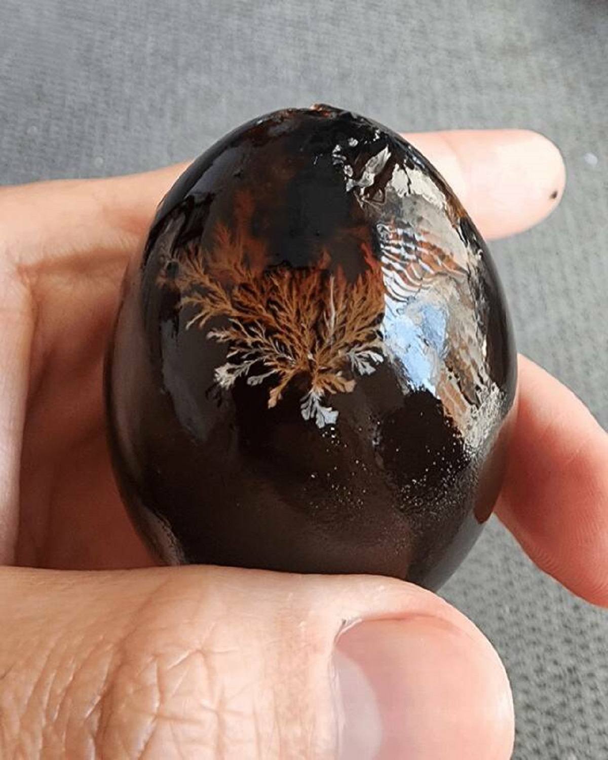 "The pattern on a century egg I just peeled."