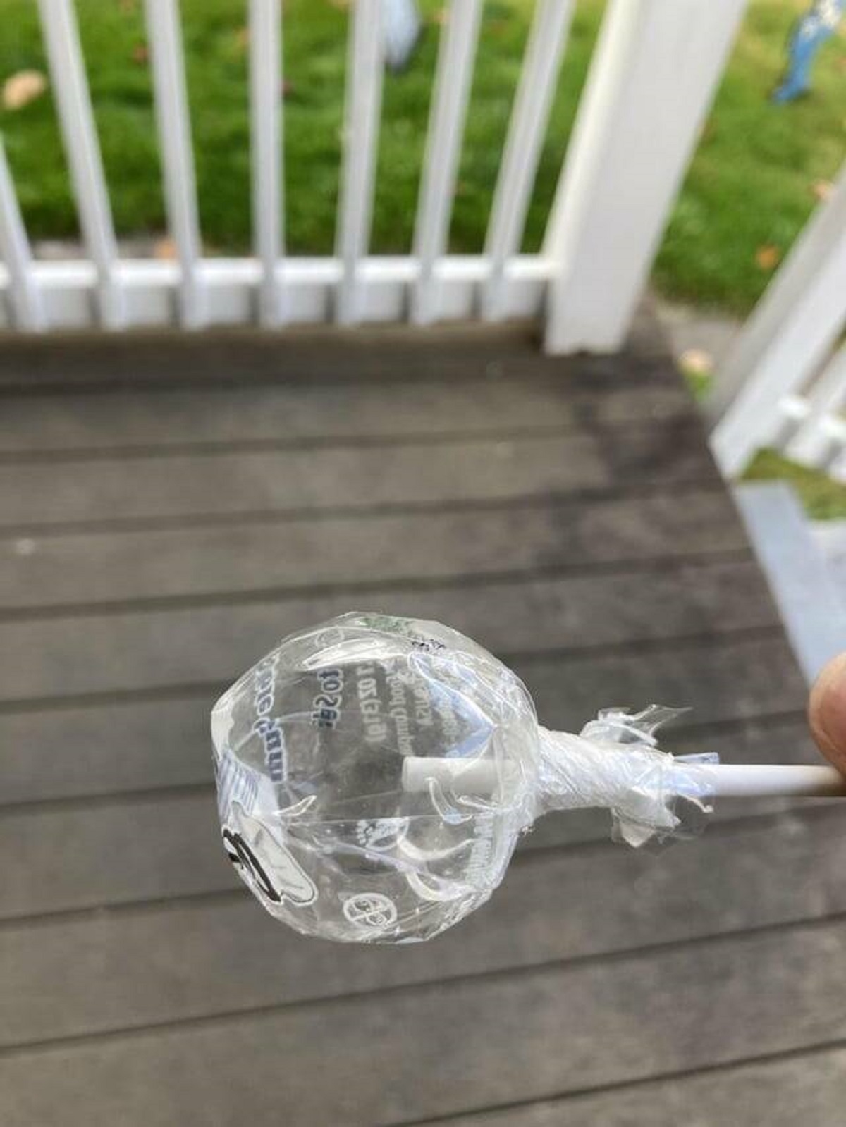 "Ants ate this lollipop completely but the wrapper is still spherical."