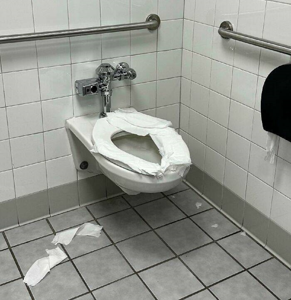 "A Guy At My Workplace Uses This Bathroom Every Day, And Each Day He Leaves His "Nest" Behind. It's Disgusting And Disrespectful To The Cleaning Staff"