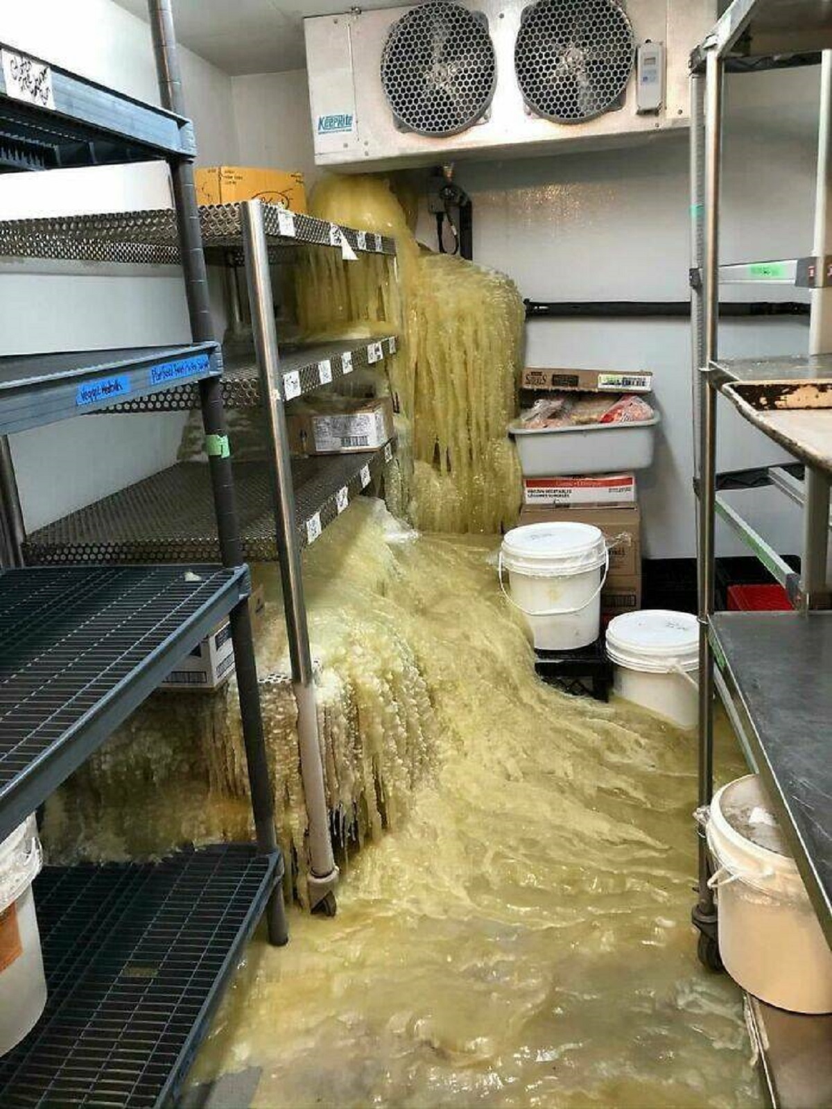 "You Think You're Having A Bad Day? Just Think About The Poor Guy Who Will Be Forced To Clean This Up"