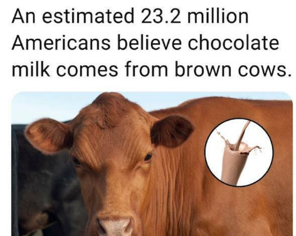 28 Insane Facts You Probably Didn't Know.