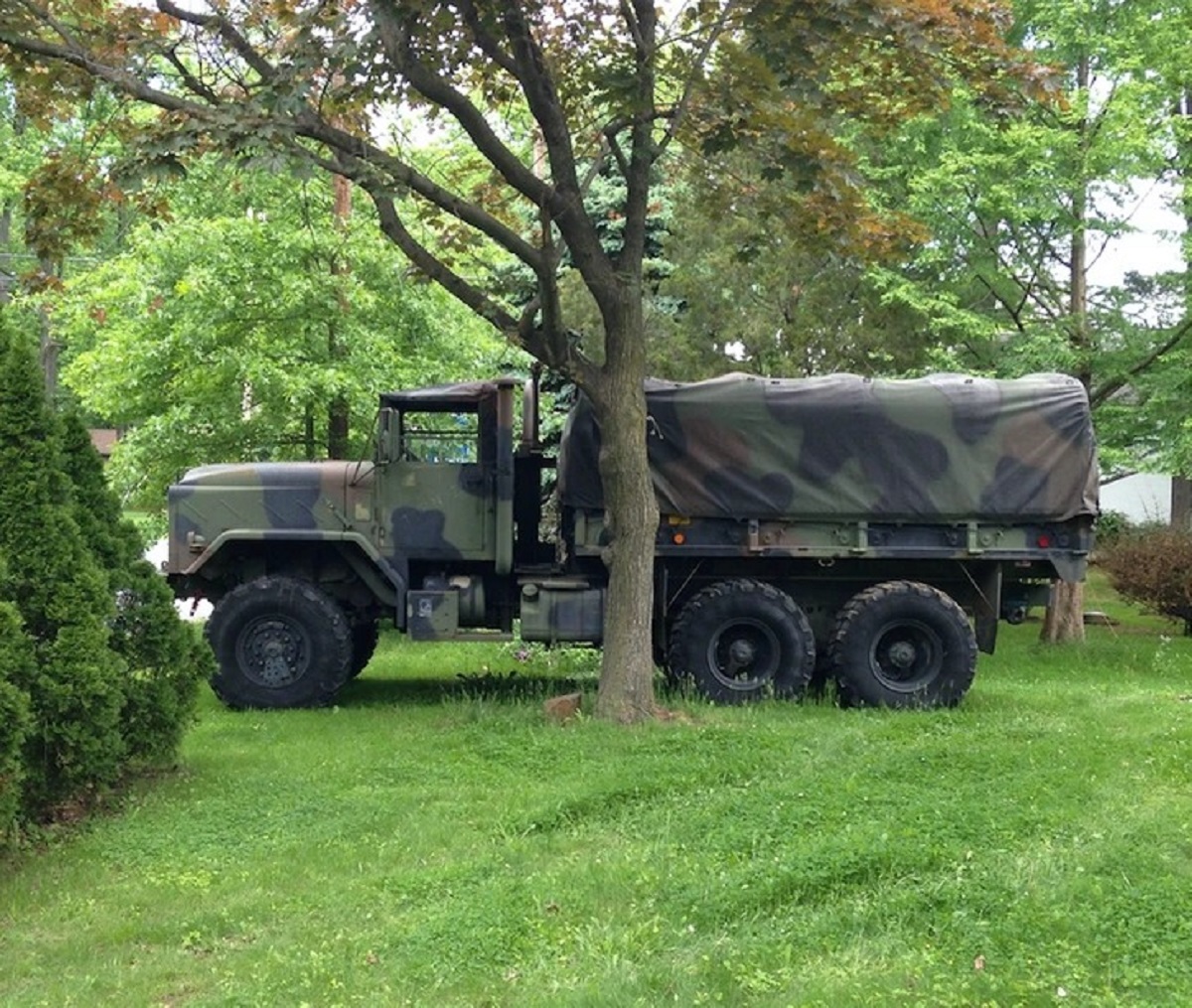 “My neighbor does not like my new truck so I told her I would park it out of sight, and blocked it with a tree... Nailed it.”