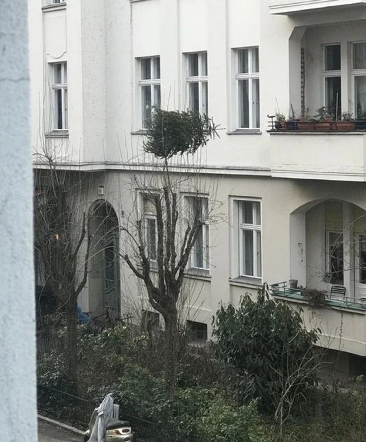 “Neighbor just tried to throw his Christmas tree from the balcony. Not sure what the ideal landing spot should have been.”