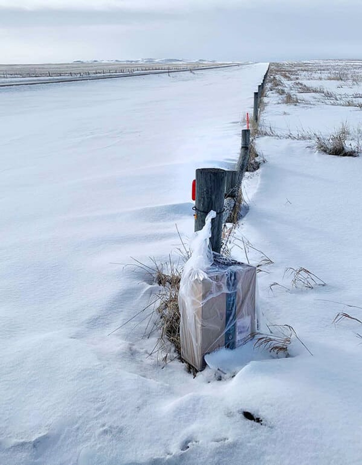 “Amazon Said It Was Delivered 2 Weeks Ago, But I Couldn’t Find It. Snow Finally Melted A Bit, And I Found It 1/2 Mile Away From The House”