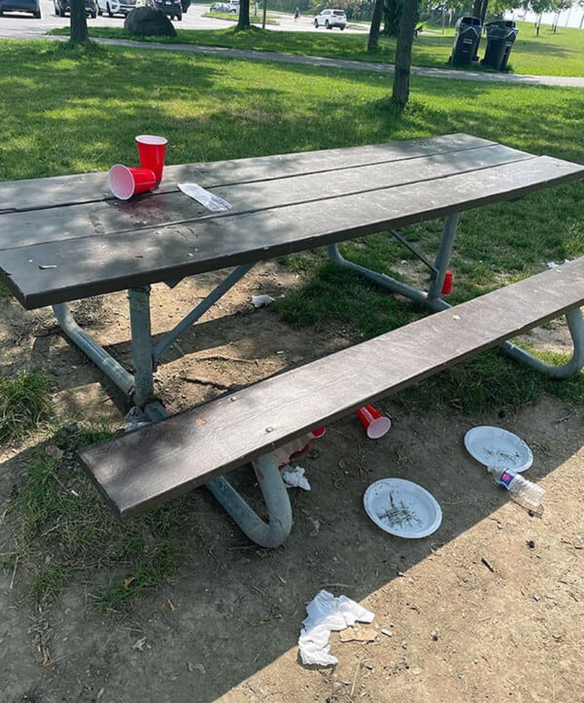 “Public Park Near Toronto, Canada. Why Are People Such A Pigs?”