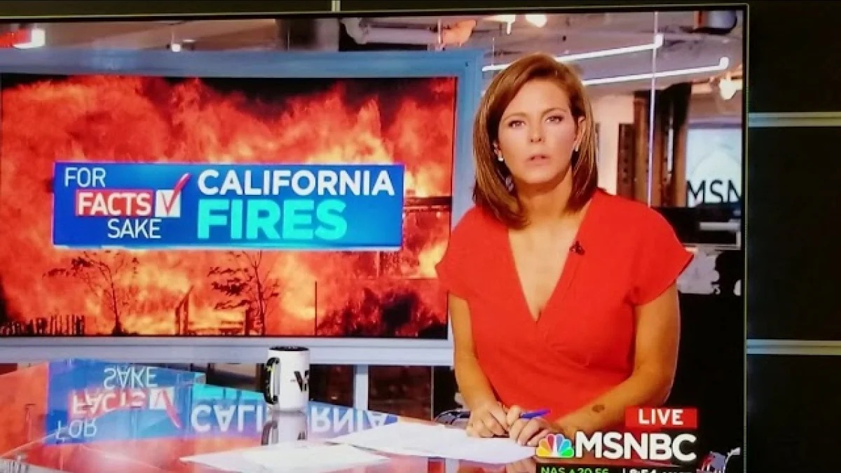 In 2018 on MSNBC, anchor Stephanie Ruhle, reporting on California wildfires, unintentionally substituted "farting" for "fighting." Despite inducing adult giggles, the incident underscores the pitfalls of live news, showcasing Ruhle's composure amid the unpredictable nature of broadcasting.