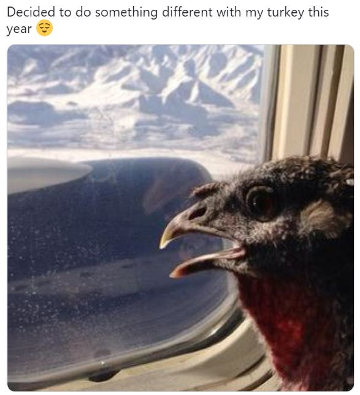 30 Relatable Thanksgiving Memes To Stuff Yourself With