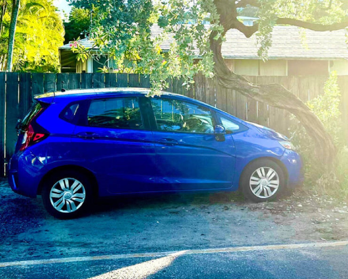 “The way this car and tree fit together.”