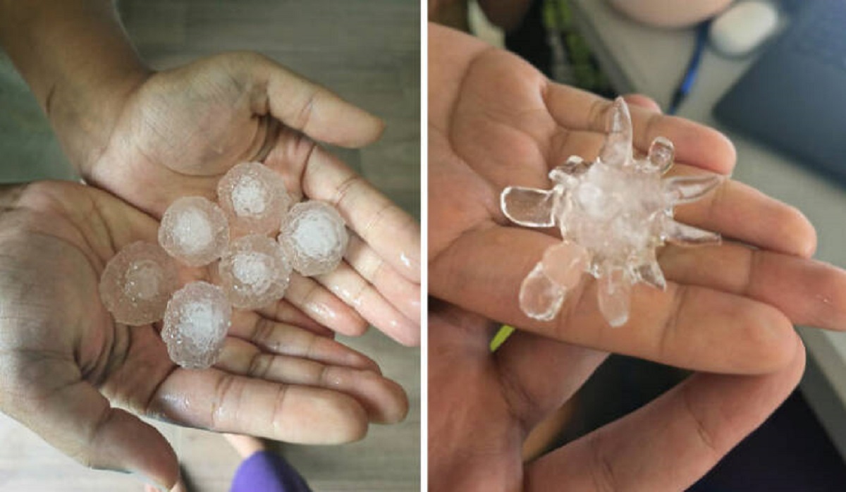 "Hailstorm Today In Johannesburg, South Africa. The First Wave Was Golf Balls, And The Second Wave Was Frozen Covid"