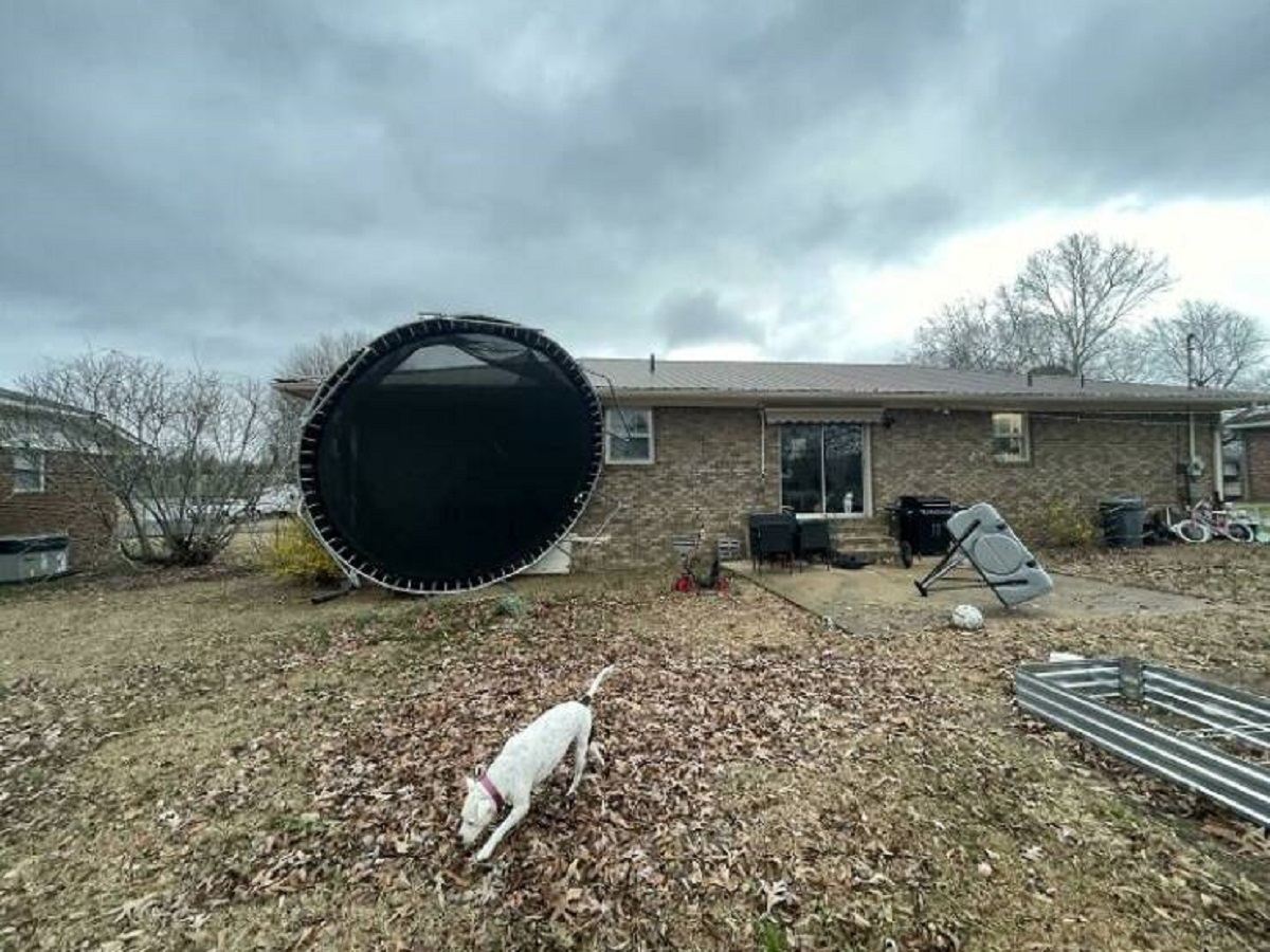 "We Had Heavy Winds Last Night. We Don’t Own A Trampoline"