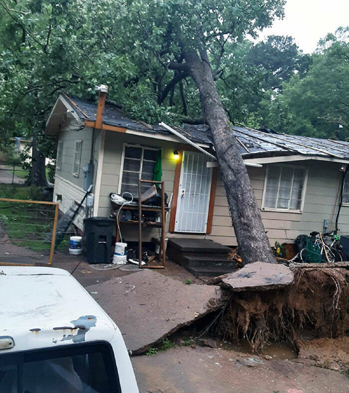 "I Have Just Finished Repairs From Another Tree Falling 2 Weeks Ago"