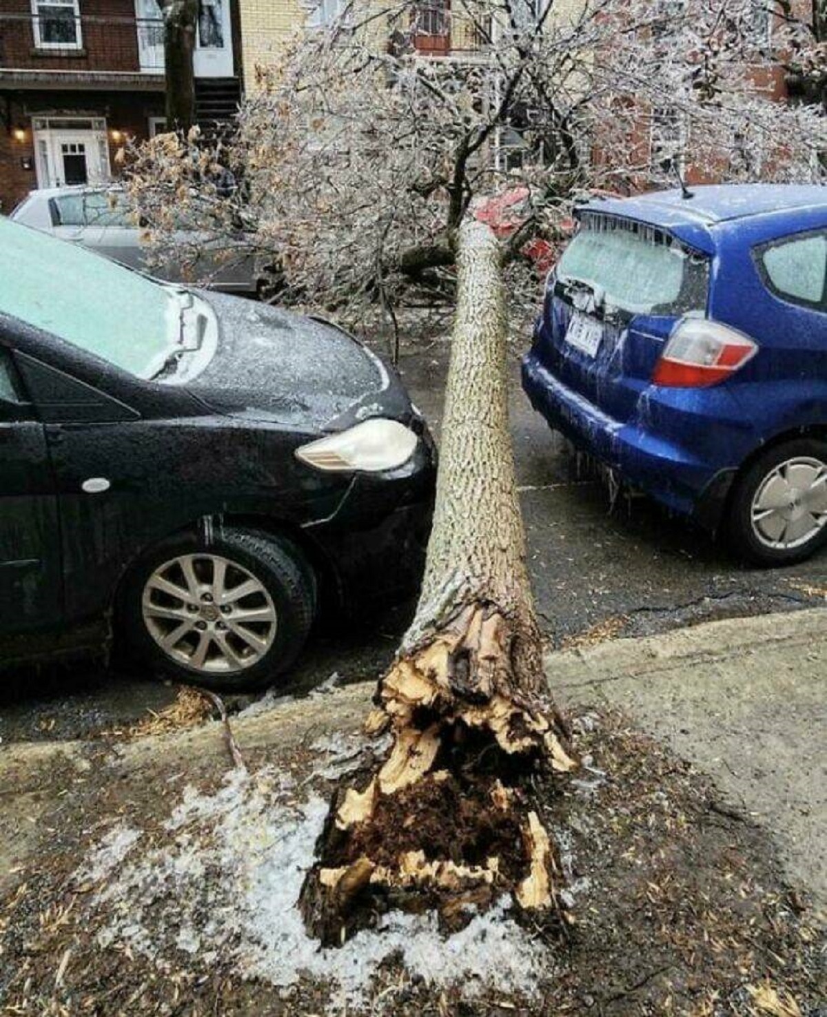 "Montreal Ice Storm, 2023"