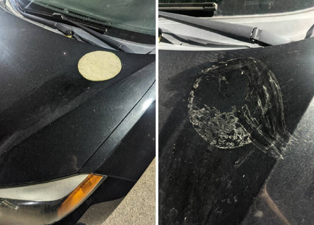 "Somebody Put A Tortilla On My Car's Hood. It Baked On There Due To High Heat. Now I Will Have To Clean It Off After I Get Off Work"