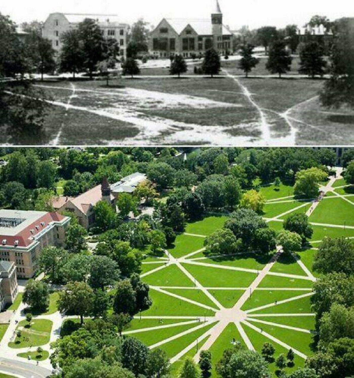 "The Pathways At Ohio State University Were Paved Based On The Routes Students Took Before There Were Paved Paths"