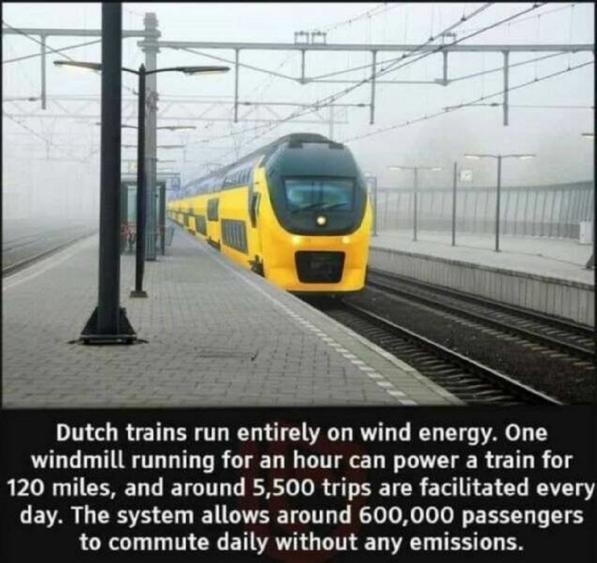 Dutch trains run entirely on wind energy. One windmill running for an hour can power a train for 120 miles, and around 5,500 trips are facilitated every day. The system allows around 600,000 passengers to commute daily without any emissions.