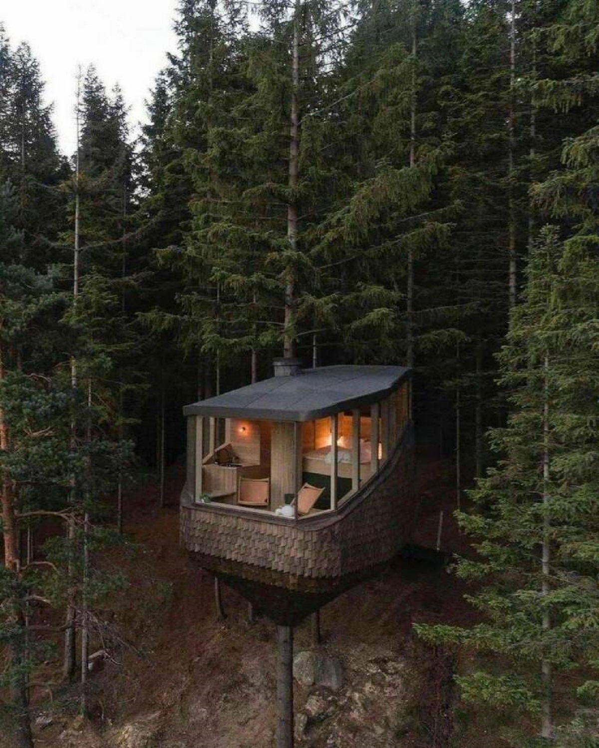 forest cabin norway
