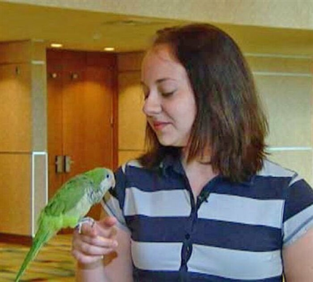 In 2008, a Quaker parrot named Willie alerted his owner, Megan Howard, that a toddler she was babysitting started choking on her breakfast.

When 2-year-old Hannah began to turn blue, the bird squawked loudly to get Megan's attention. Then he started saying 'Mama baby' repeatedly.

Megan hurried to Hannah and performed the Heimlich maneuver, ultimately saving her life.

Megan later expressed that if Willie hadn't alerted her, she might not have come out of the bathroom in time, as the child was already turning blue.

For saving the child’s life, Willie was awarded the local Red Cross chapter's Animal Lifesaver Award.