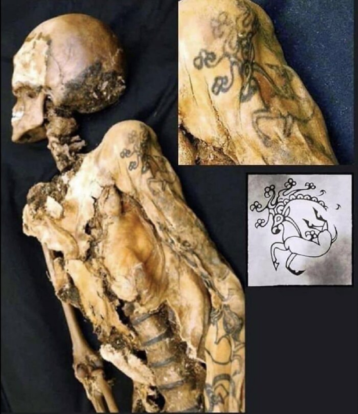 The Siberian Ice Maiden, also known as the Princess of Ukok, is a mummy of a woman with tattoos from the 5th century BC, Republic of Alta, Russia.

The Body of Princess Ukok, who died aged 25, had several tattoos on her body, including a deer with a griffon's beak and a Capricorn's antlers. The tattoos have been perfectly preserved for 2,500 years.