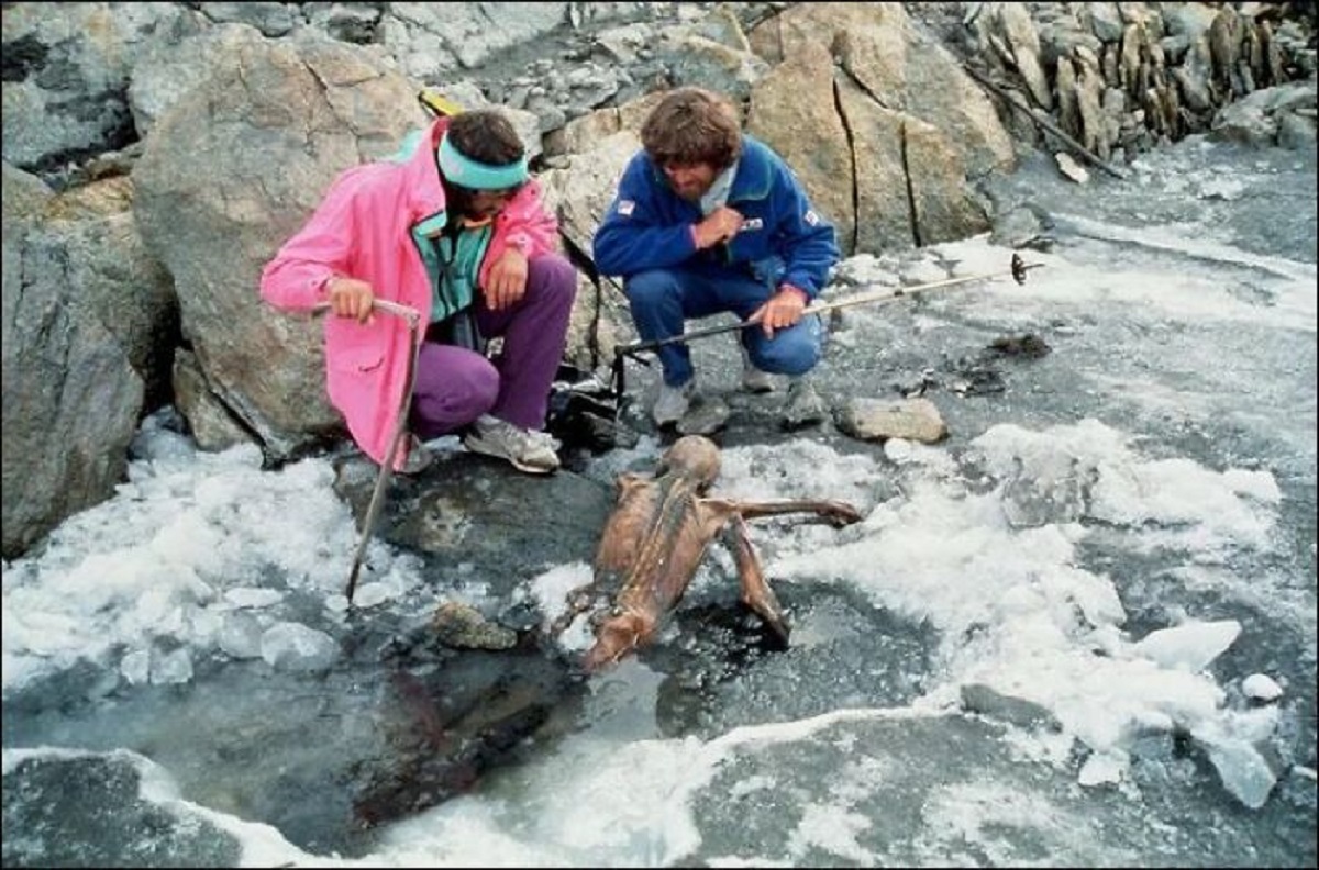 On 19th of September 1991, in the Ötztal Alps, the natural mummy of a man who lived between 3350 and 3105 BC was found. According to researchers, Ötzi, also called the Iceman, was killed due to the presence of an arrowhead embedded in his left shoulder and various other wounds.