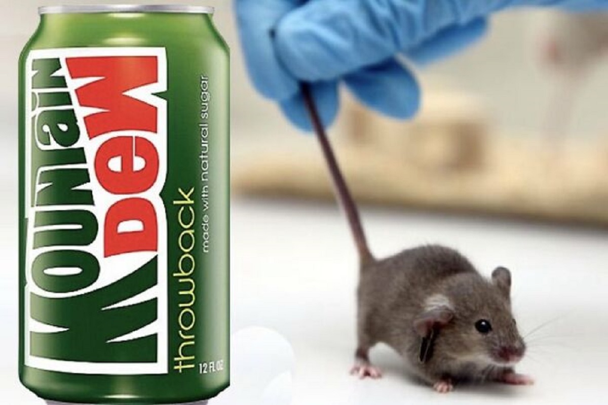 In 2009, a man sued Pepsi alleging that he found a mouse in his Mountain Dew. However, Pepsi attorneys stated that Mountain Dew will dissolve a mouse in 30 days, and showed that his can was purchased 74 days after being manufactured.