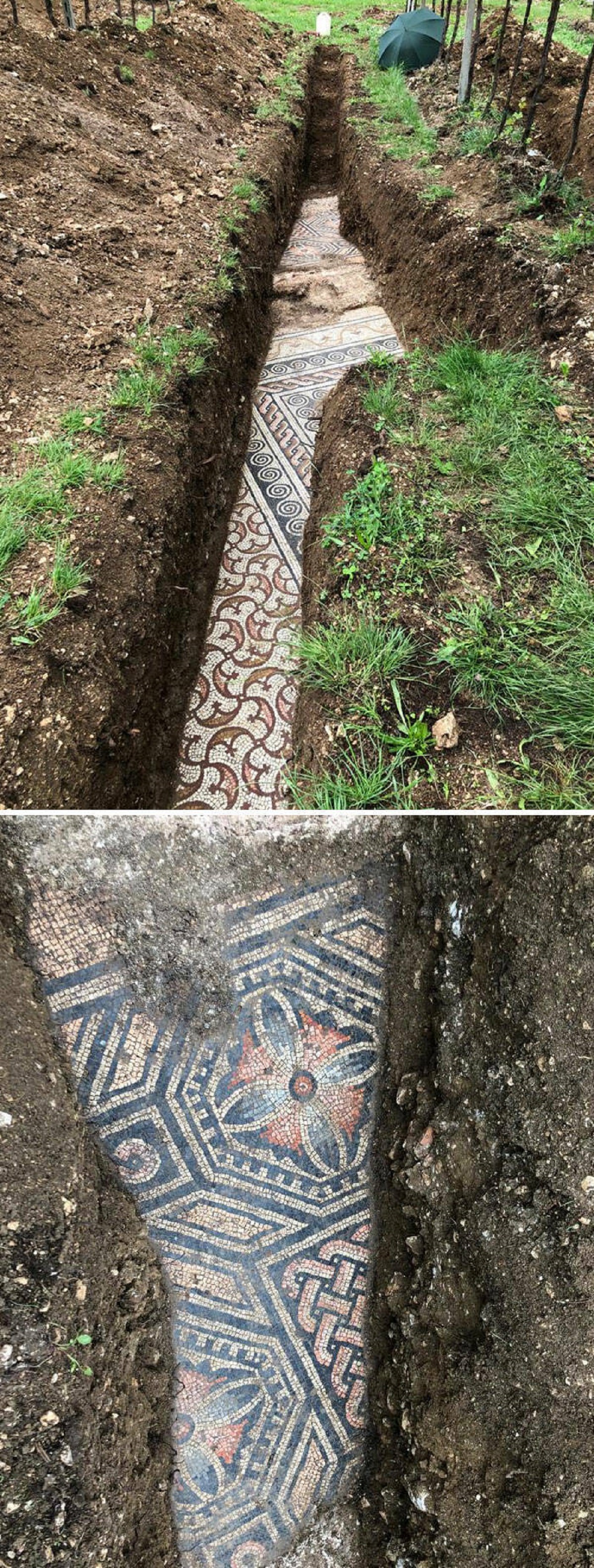 "Mosaics Of A Roman Villa Were Found Under A Vineyard In Negrar, Italy"