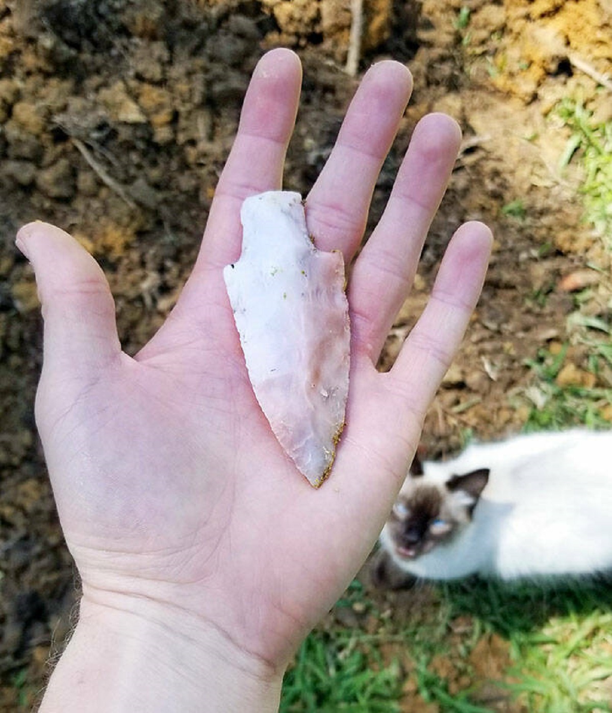 "I Found This Arrowhead While Digging A Hole In My Backyard"