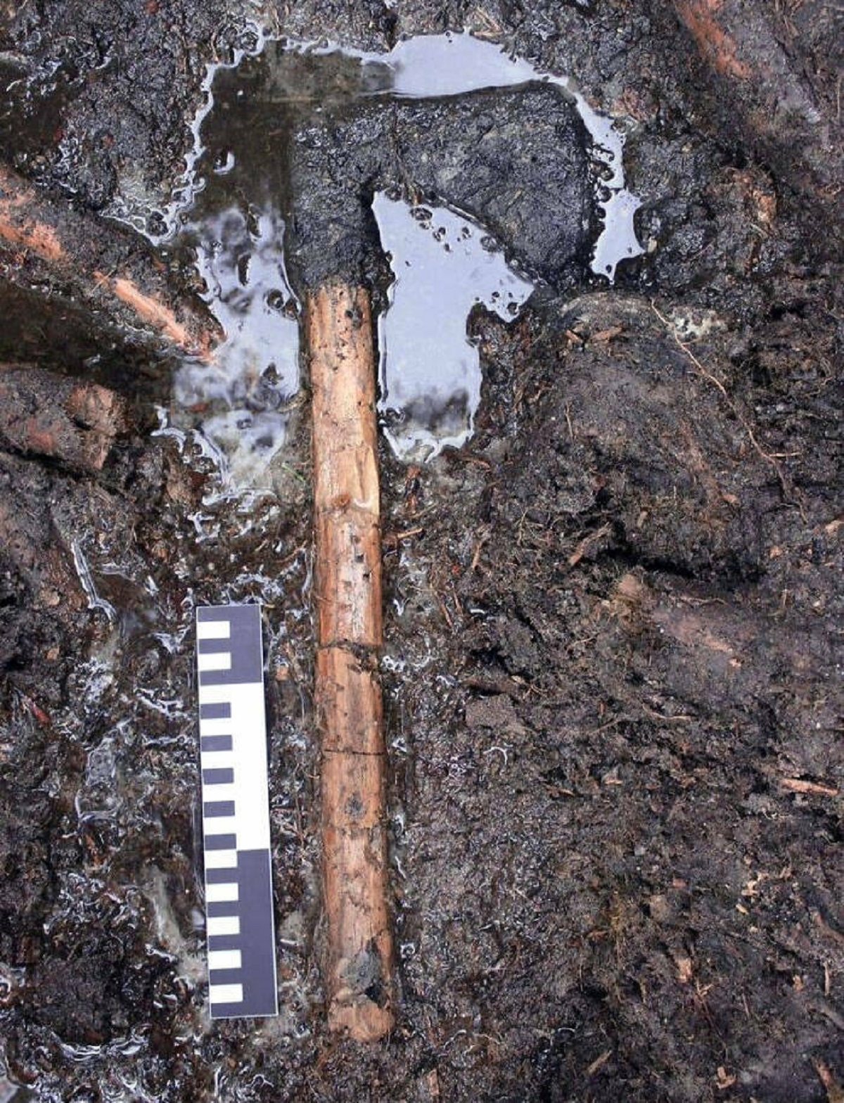 "Medieval Ax With A Preserved Wooden Handle Was Discovered On The Island Of Ledniczka In Poland"