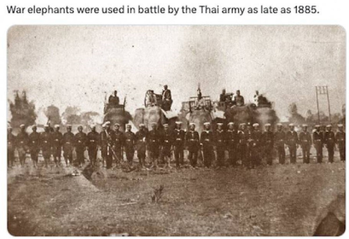 30 Unexpected Facts From History.