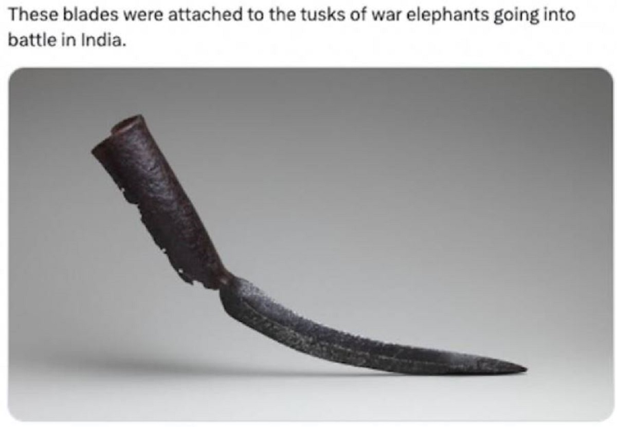 30 Unexpected Facts From History.