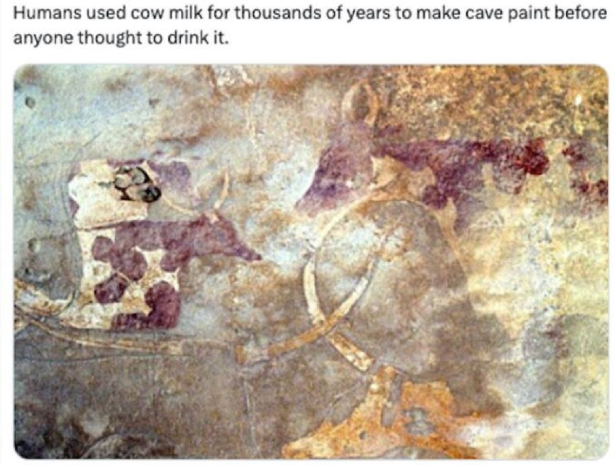 30 Unexpected Facts From History.