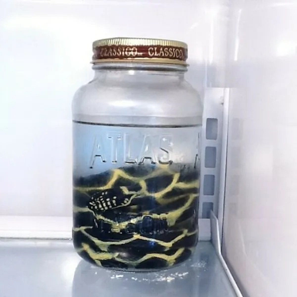 I checked into my airbnb apartment in Seattle today and saw this when I opened the fridge. NOPE