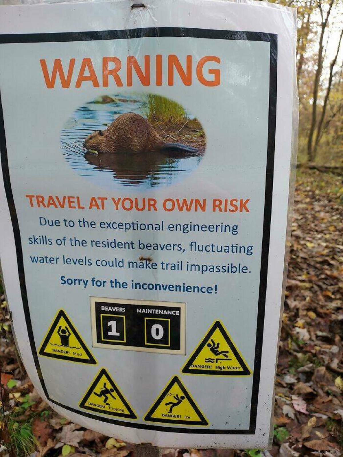 fascinating photos - tree - Warning Travel At Your Own Risk Due to the exceptional engineering skills of the resident beavers, fluctuating water levels could make trail impassible. Sorry for the inconvenience! ww Beavers Maintenance 1 0 bent W