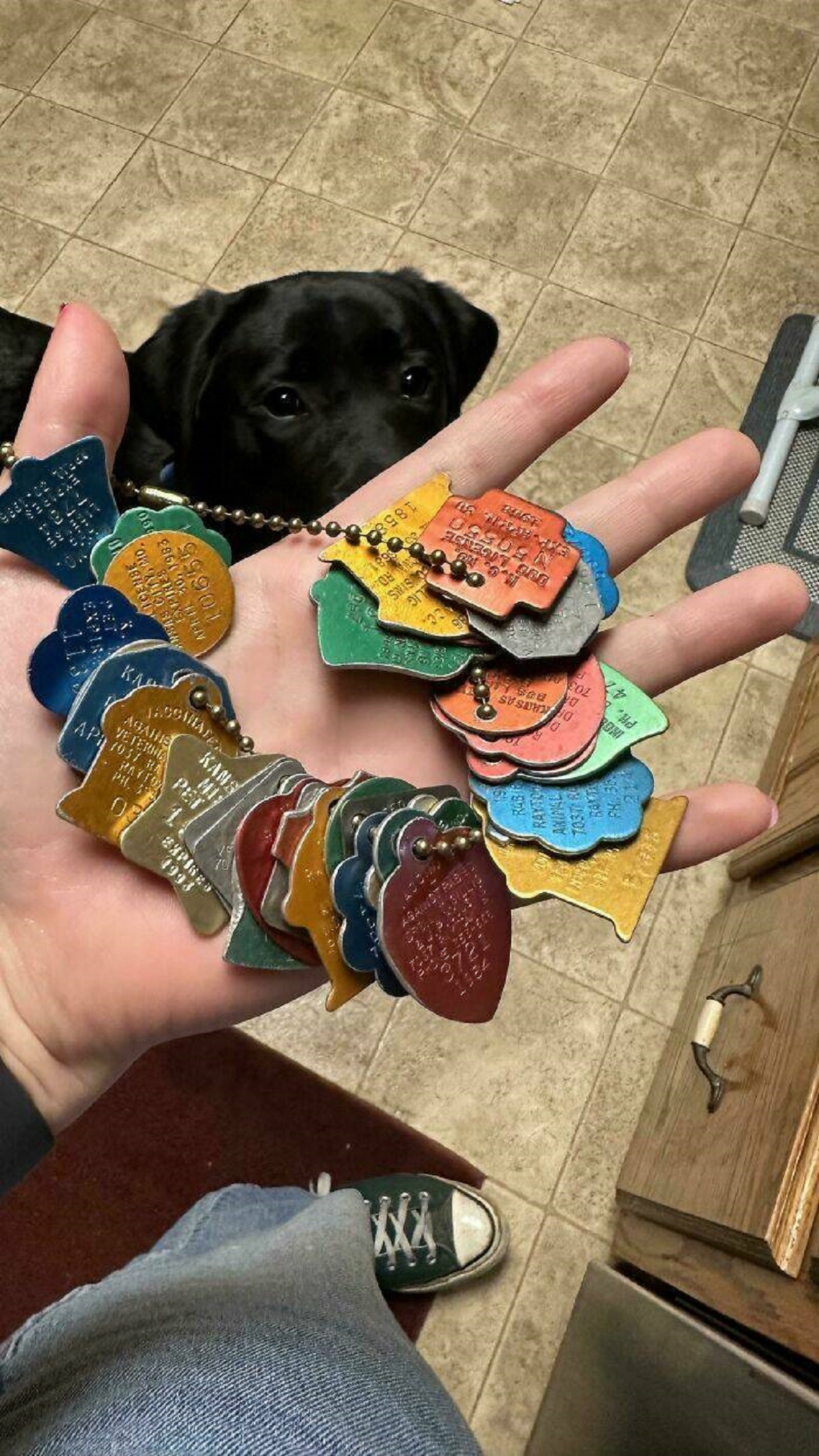 "My Grandpa Kept Almost All Of The Rabies Tags From His Dogs"