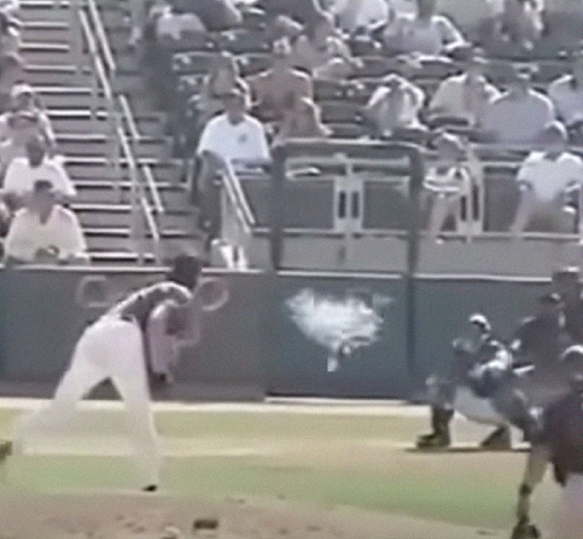 Randy Johnson hitting that bird mid flight 100 mph fastball