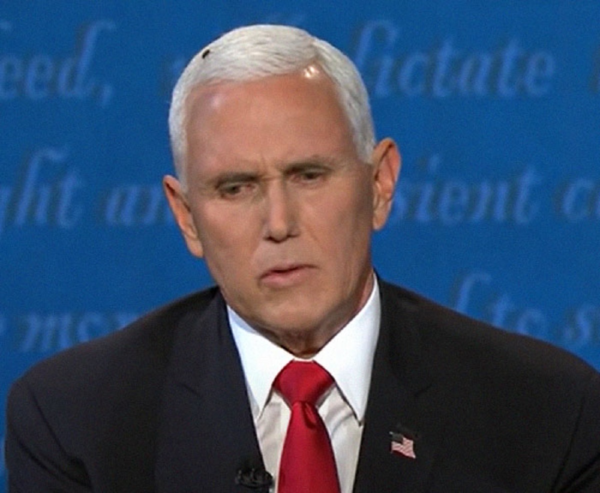 The fly that landed on Pence’s head during a debate