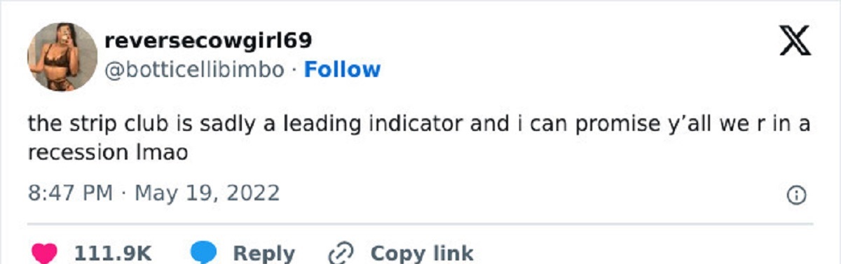 On May 19th, 2022 an exotic dancer posted a tweet; stating that economists were wrong and we had already entered into a recession. Turns out they were right, as the profession demands the foreseeing of trends of how rich businessmen spend their money.