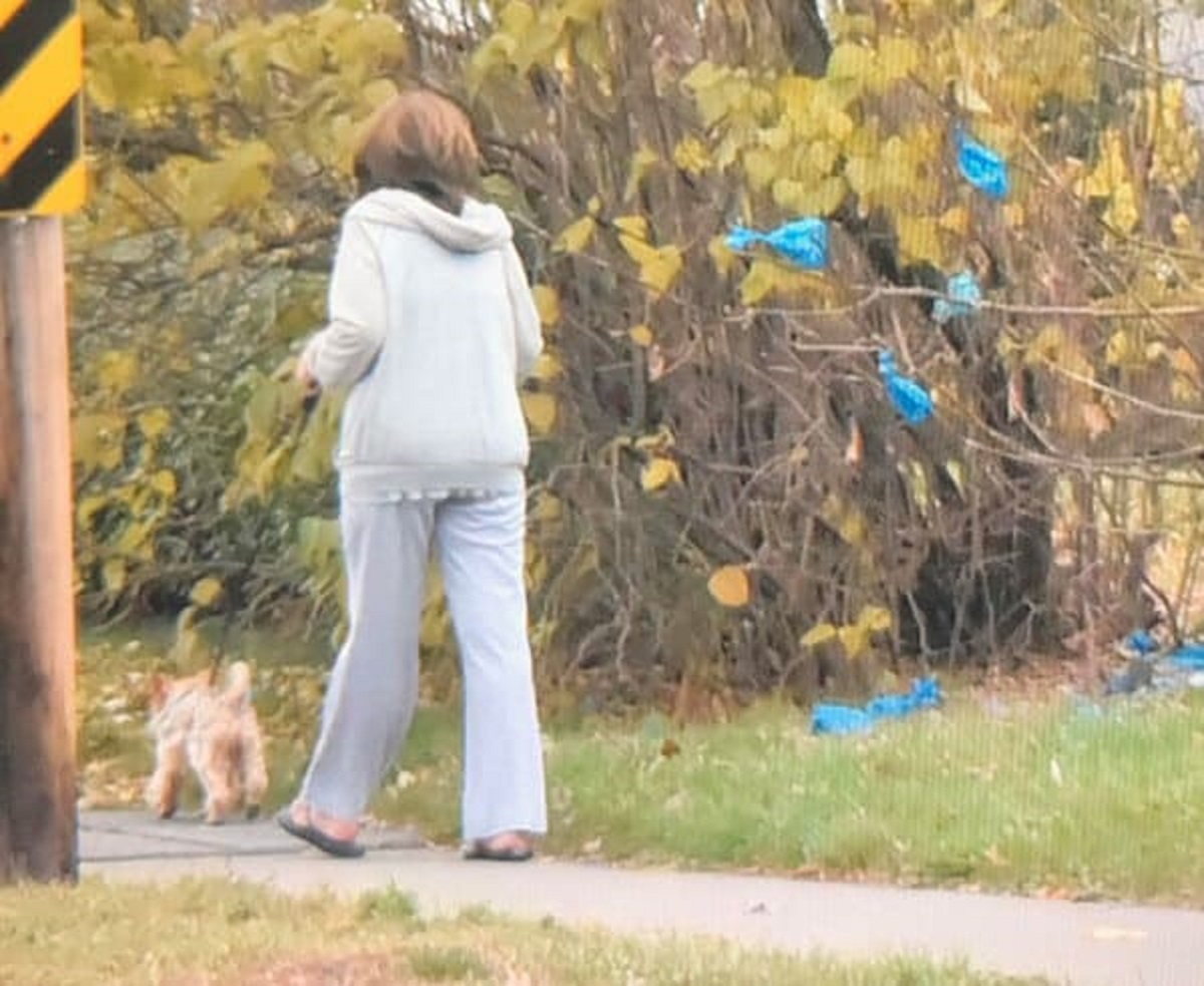 Every Day This Lady Walks Her Dog And Throws It’s Poop In The Same Tree