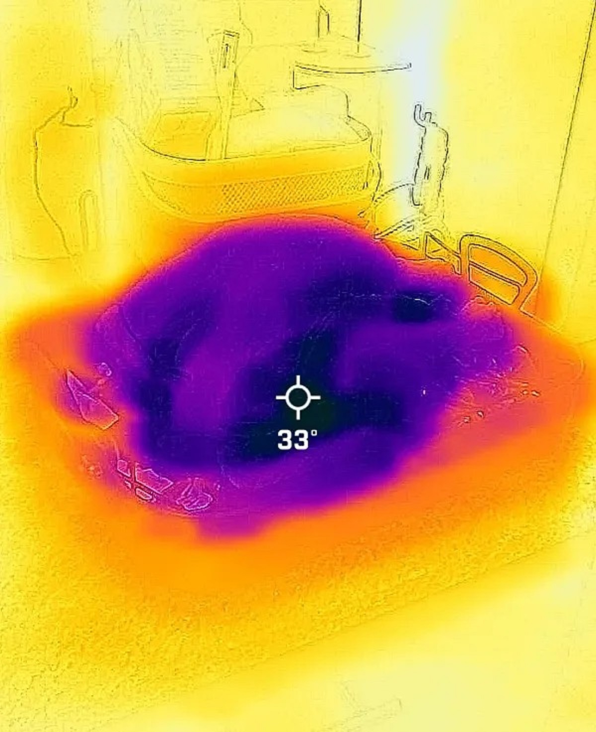 “Turkey is still pretty frozen on thanksgiving”