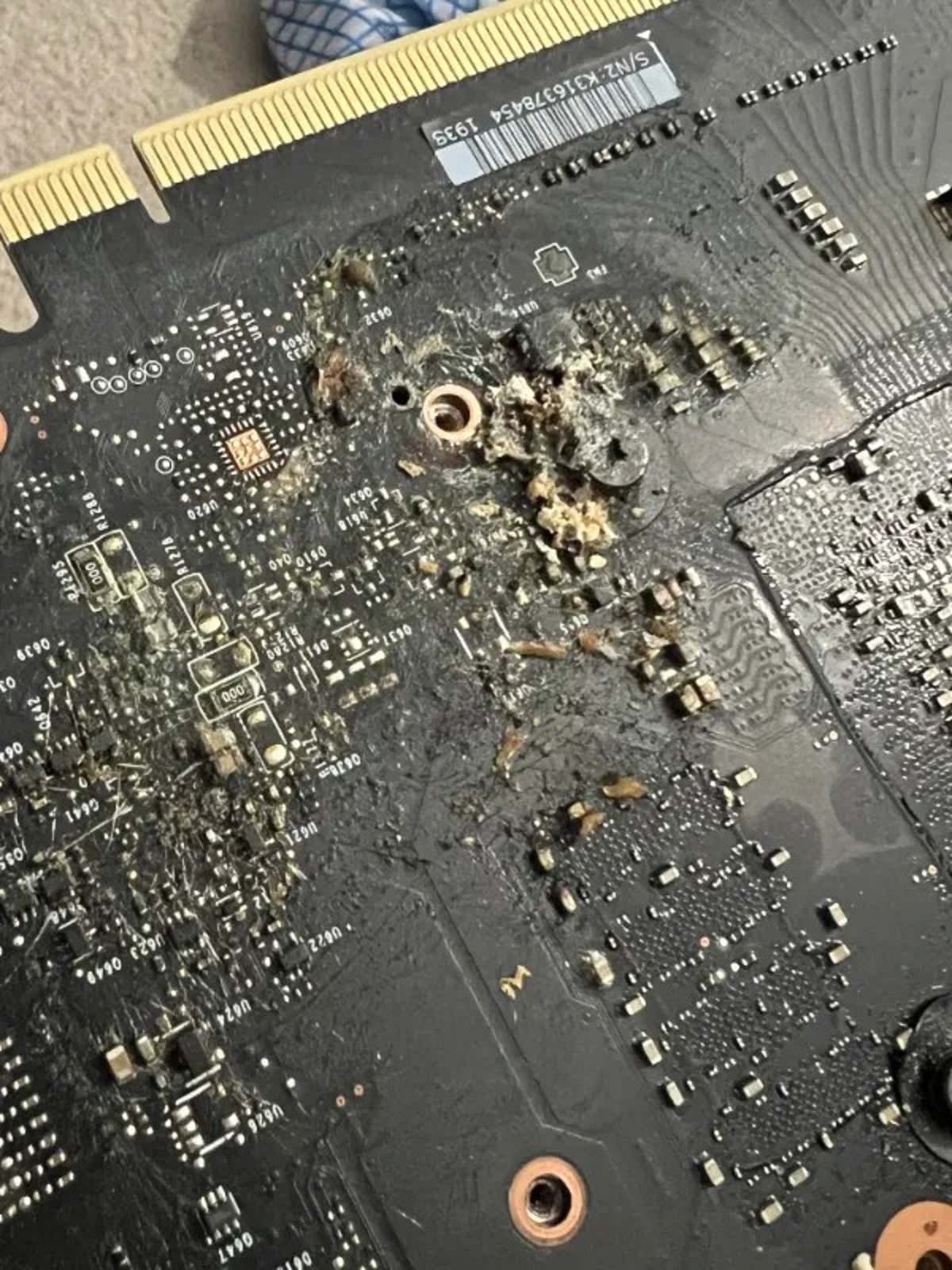 “One of my cats peed on my graphics card…”