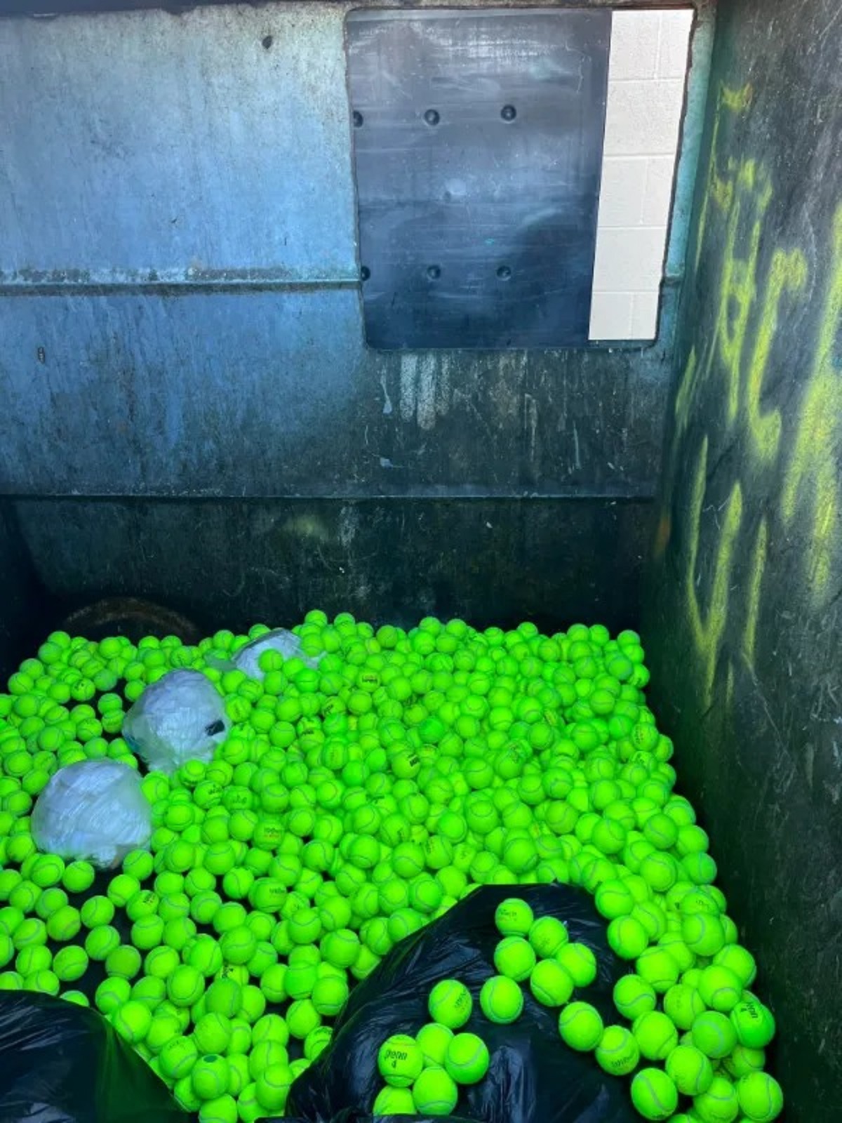 “The gym I use threw out a ton of good tennis balls. There is a dog shelter next door”