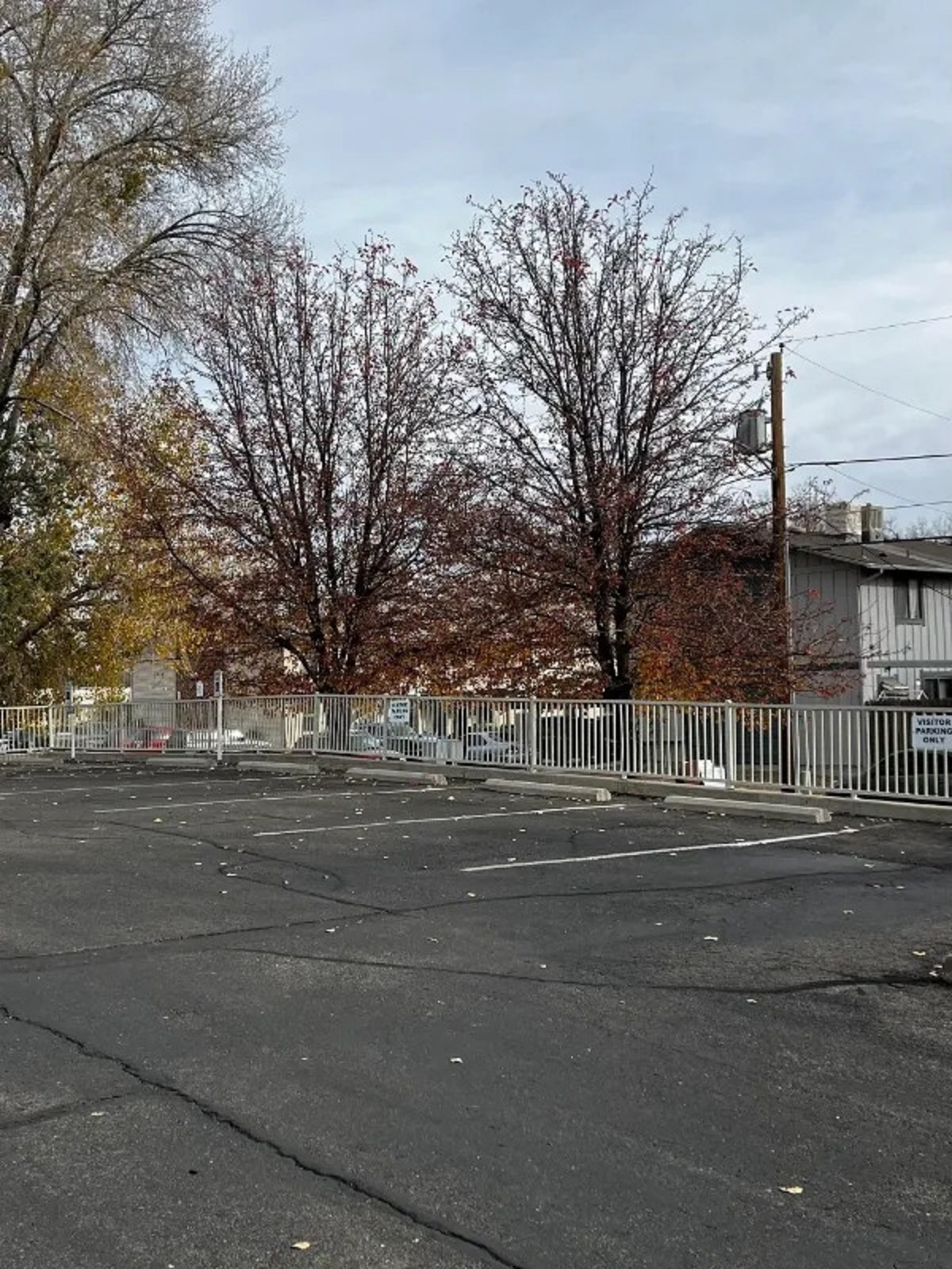 “I work at an old folks home. This is the visitor parking on Thanksgiving Day.”