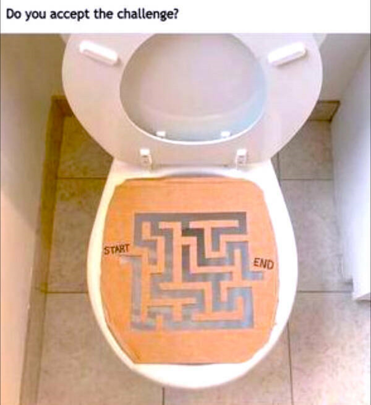 toilet seat - Do you accept the challenge? Start 14 End