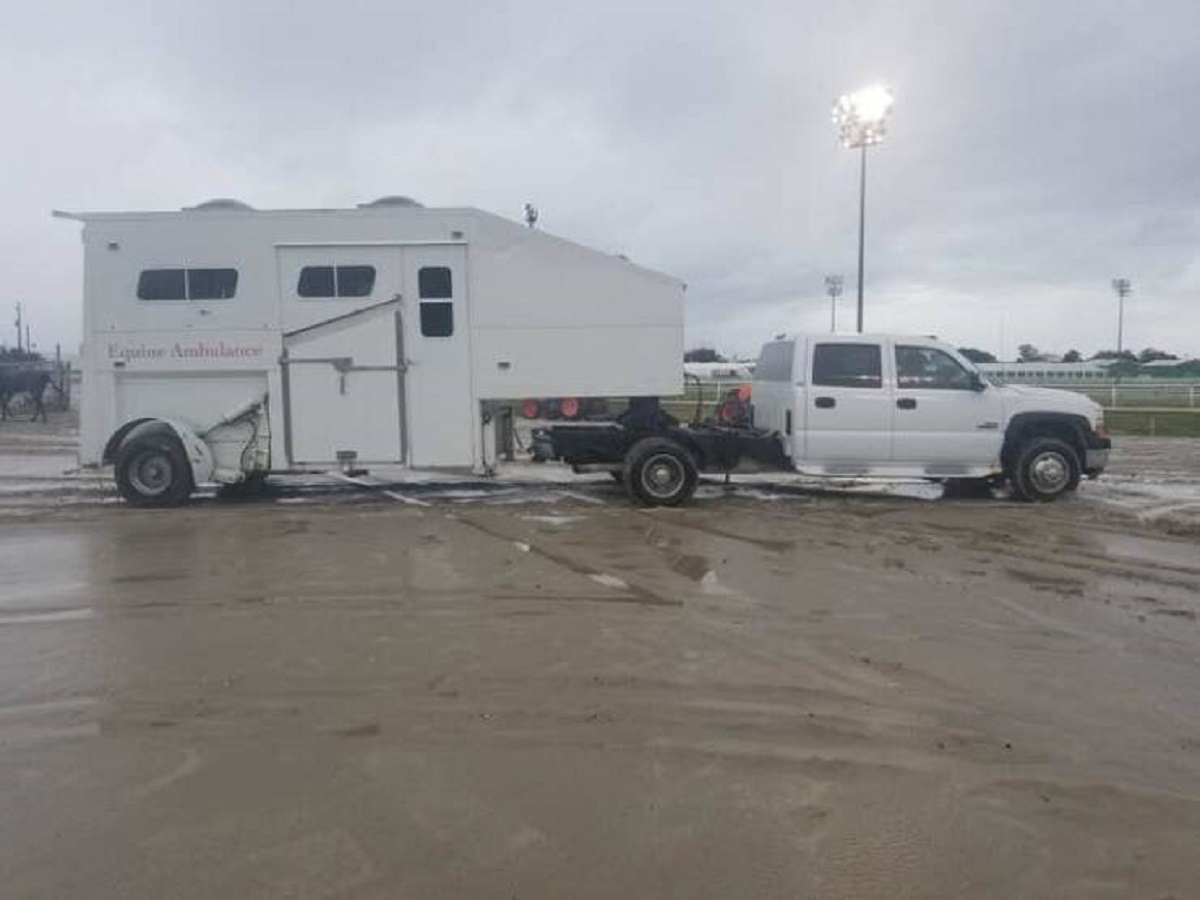 This is what a horse ambulance looks like: