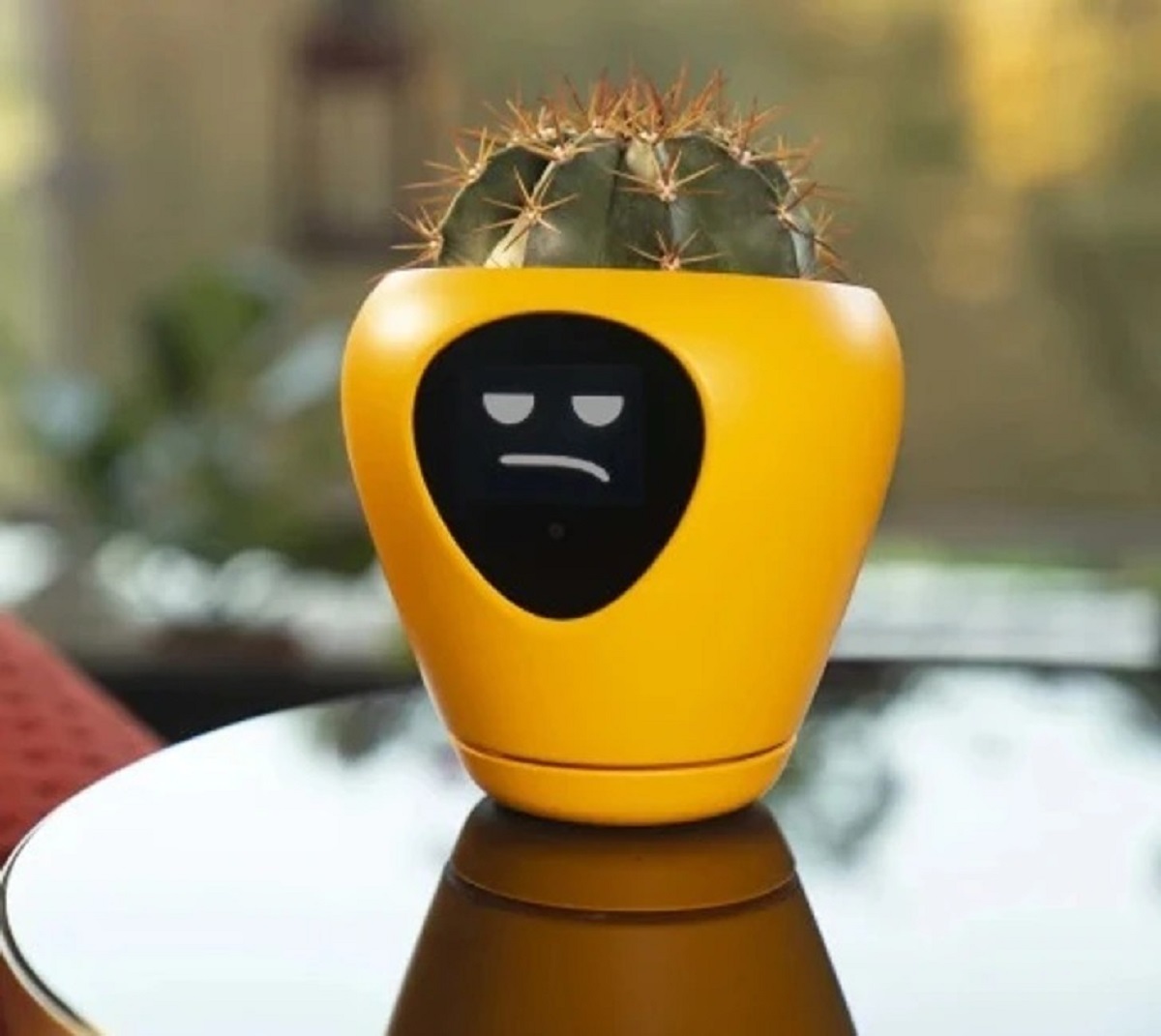 Your plant can turn into your pet, revealing how it feels thanks to smart planters like Lua. It can measure the soil’s moisture, light exposure, and temperature and shows 15 different emotions so you can understand what it needs.