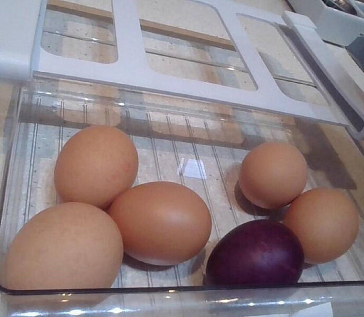 “One of the eggs I bought this morning is randomly purple”