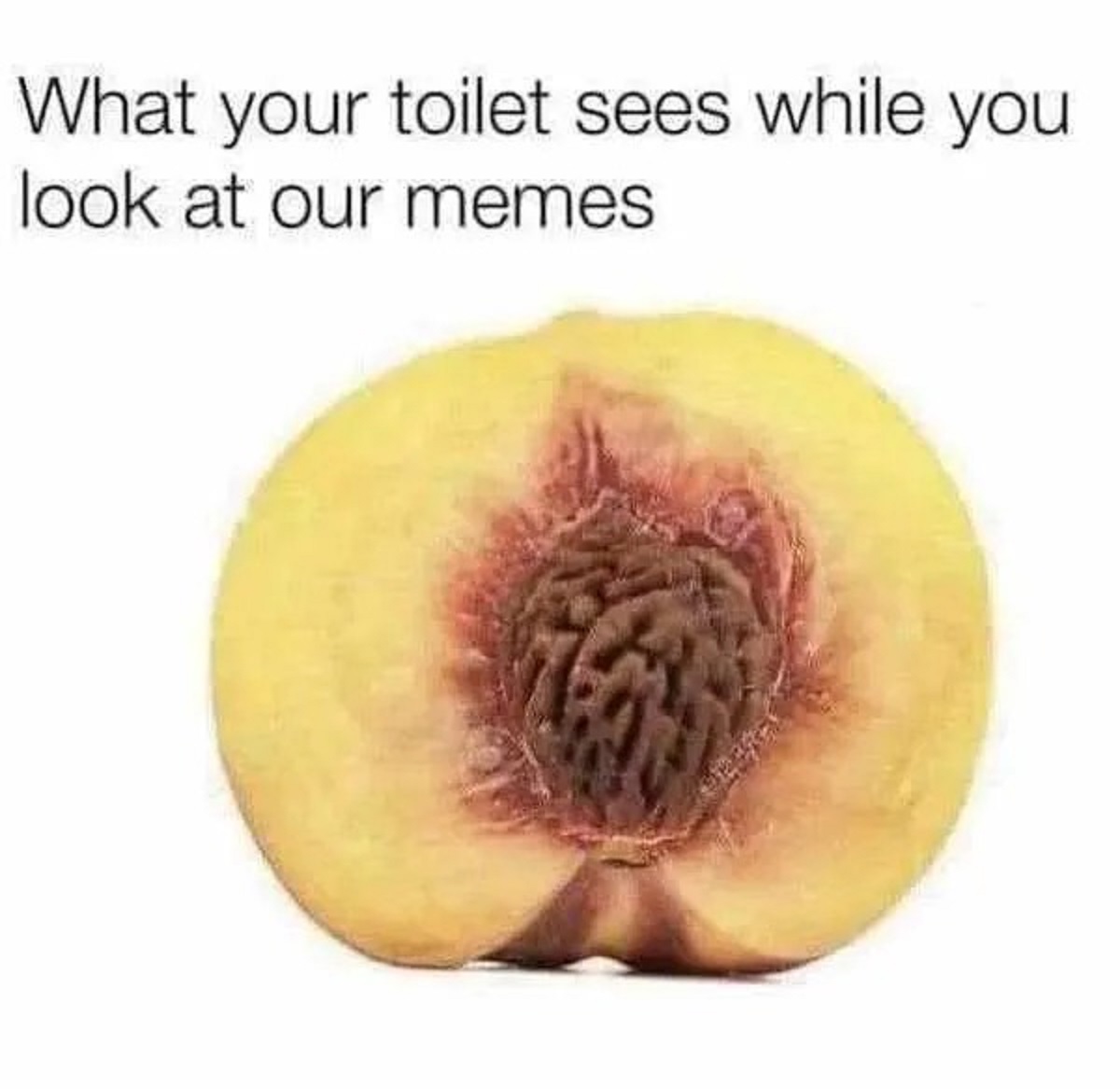 spicy memes - my toilet sees meme - What your toilet sees while you look at our memes