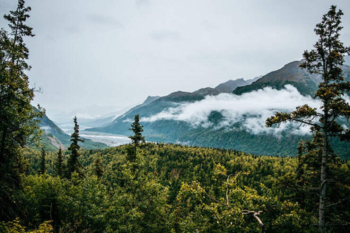 Alaska is so large and deserted, it has the equivalent population density of 16 people living in Manhattan."